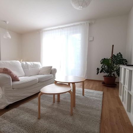 Gemuetliches Privatzimmer In Geraeumiger Gemeinschaftswohnung Dresde Extérieur photo