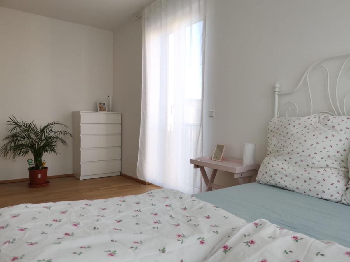 Gemuetliches Privatzimmer In Geraeumiger Gemeinschaftswohnung Dresde Extérieur photo