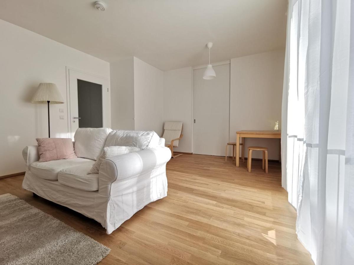 Gemuetliches Privatzimmer In Geraeumiger Gemeinschaftswohnung Dresde Extérieur photo